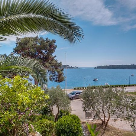 Apartments Villa Julija マリ・ロシニュ エクステリア 写真