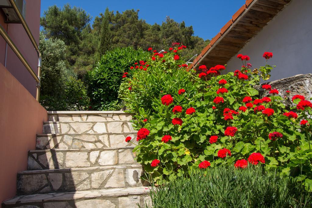 Apartments Villa Julija マリ・ロシニュ 部屋 写真