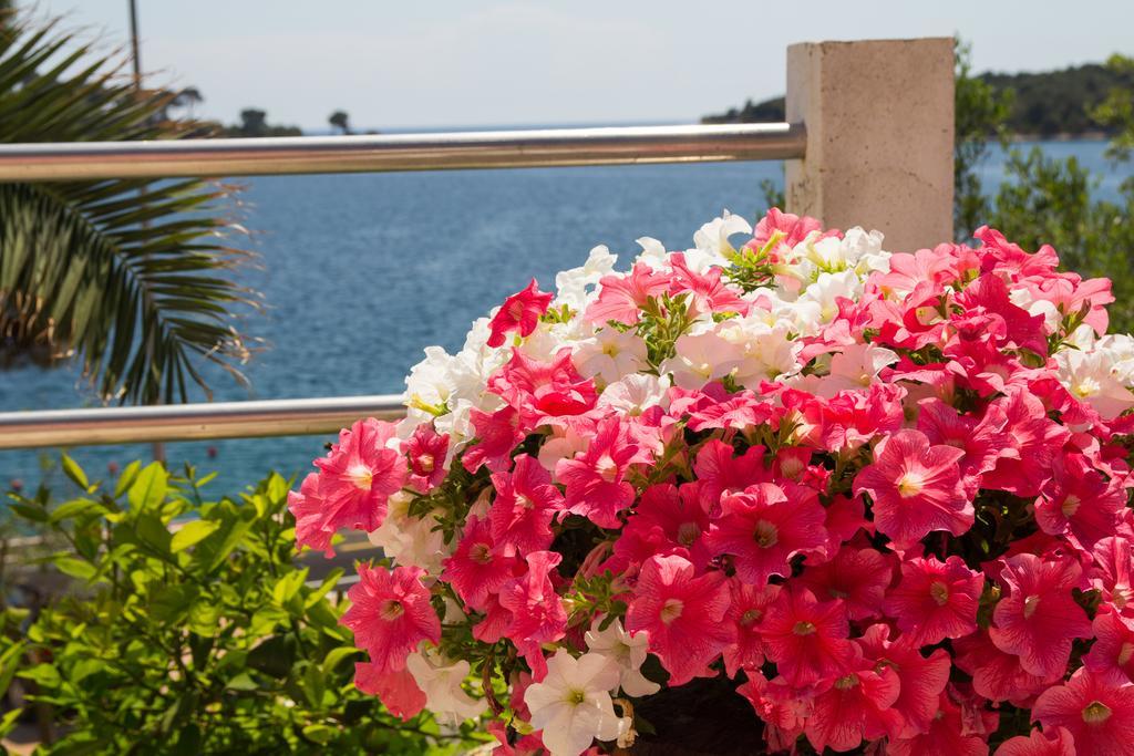 Apartments Villa Julija マリ・ロシニュ 部屋 写真